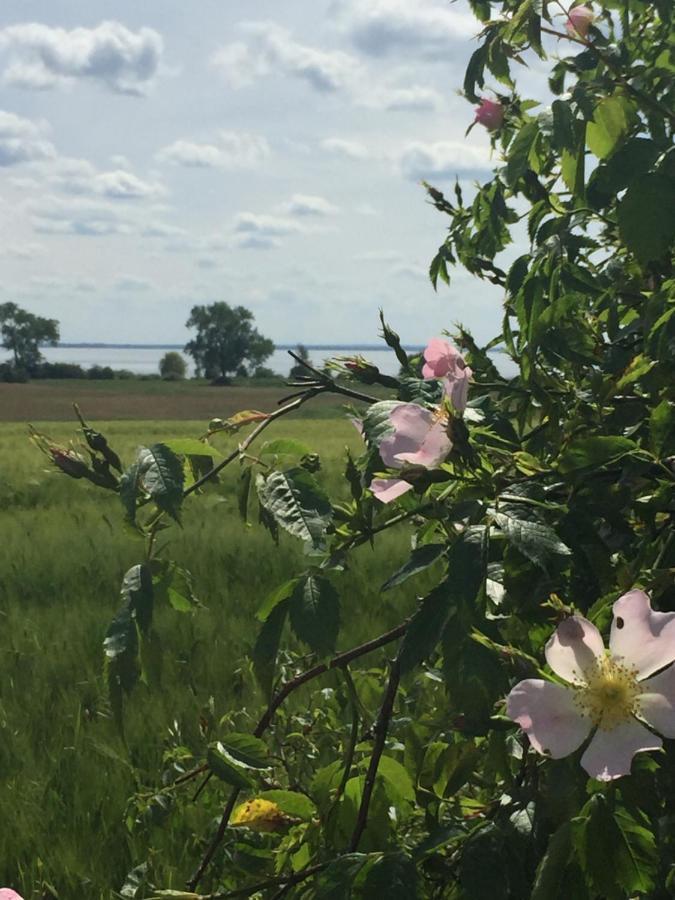 Ferienwohnung Seeblick - Insel Usedom Balm Kültér fotó