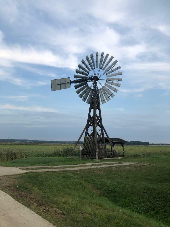 Ferienwohnung Seeblick - Insel Usedom Balm Kültér fotó